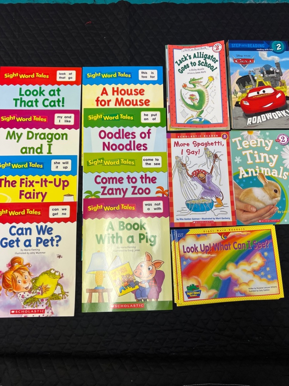 Scholastic Kids Book Set, Sight Word readers, and Level 2 Reading books